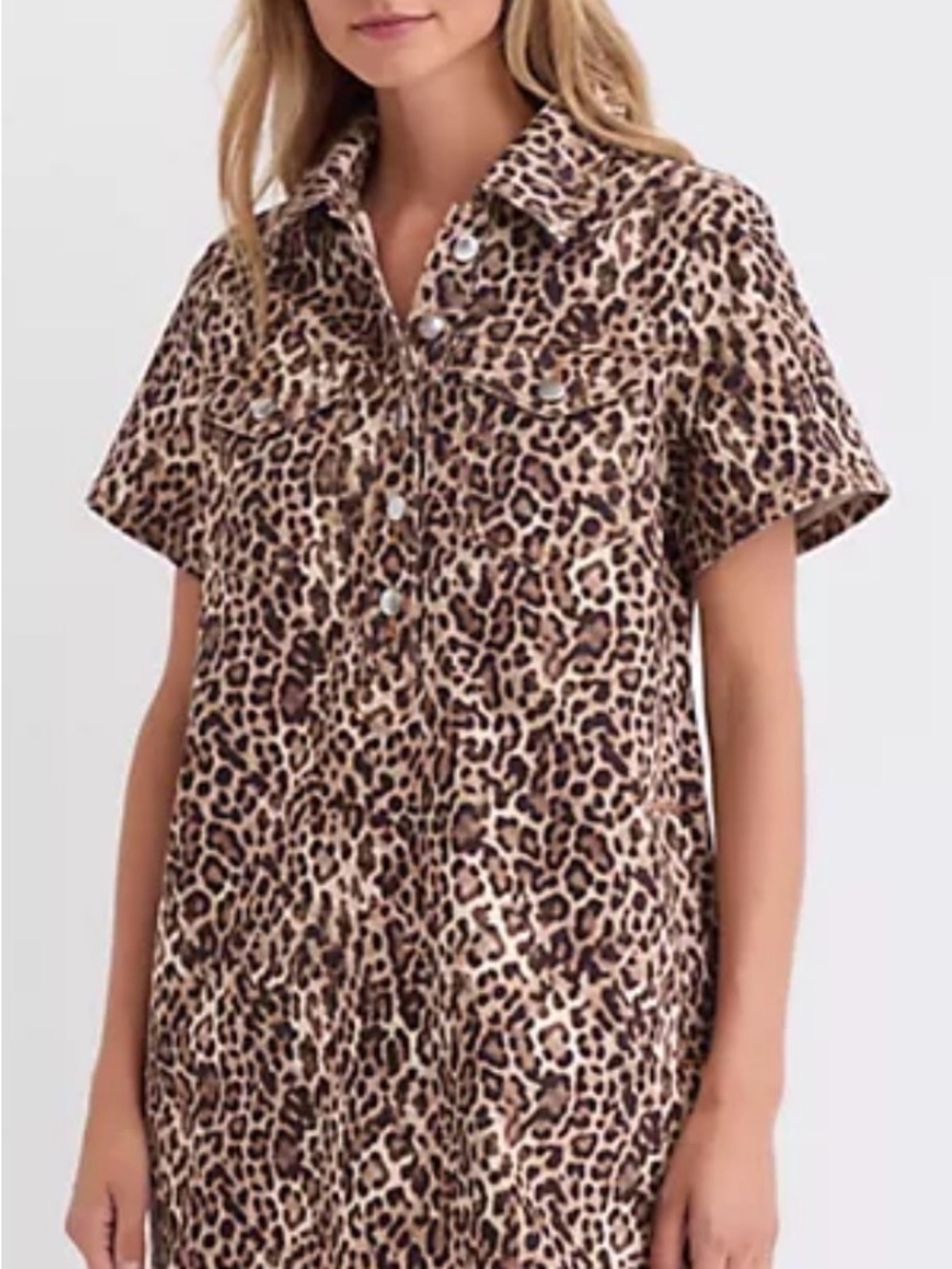 entro Leopard Print Button-Front Shirt Dress in Brown and Black